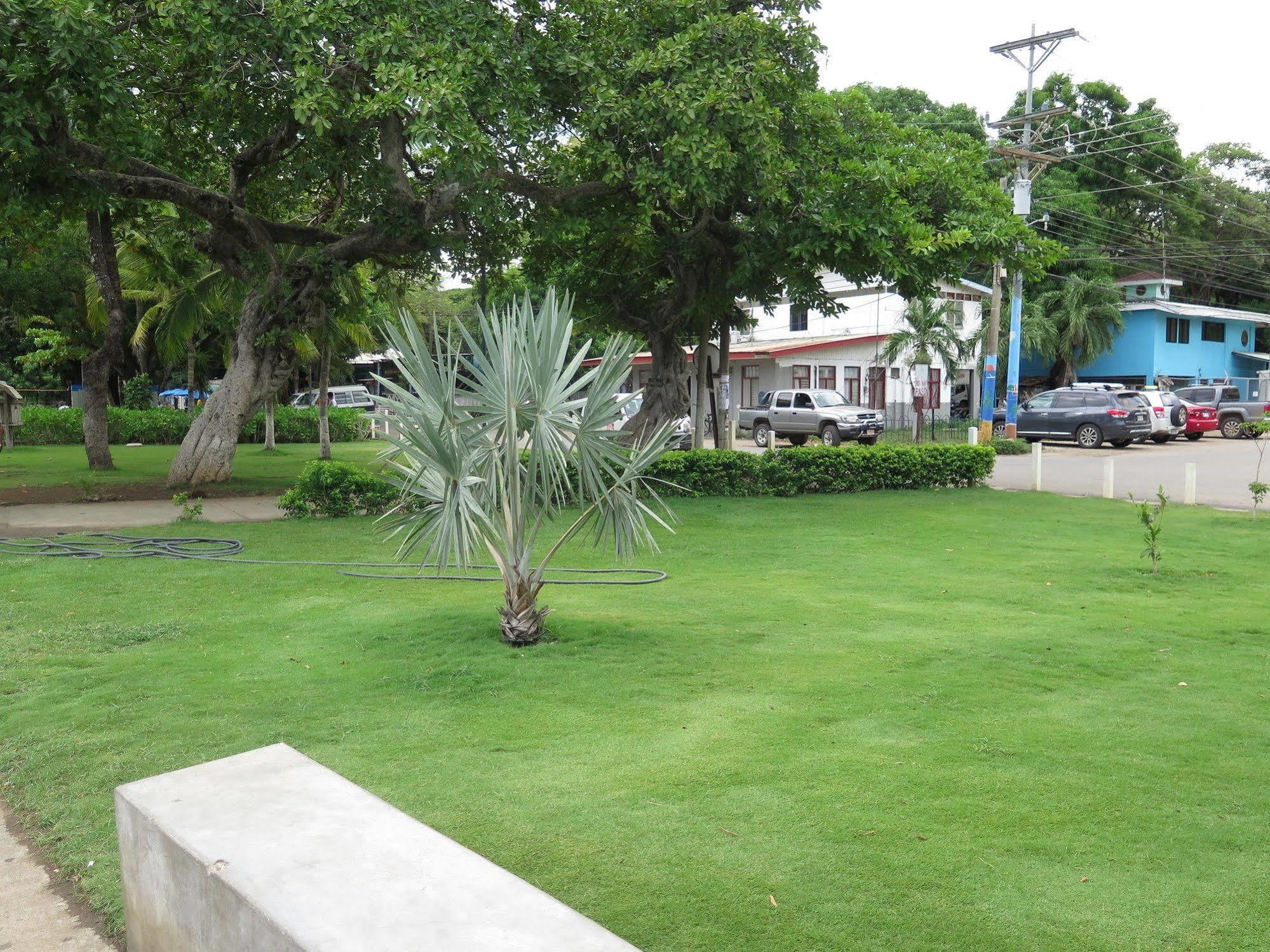 Hotel Savannah Playas del Coco Bagian luar foto